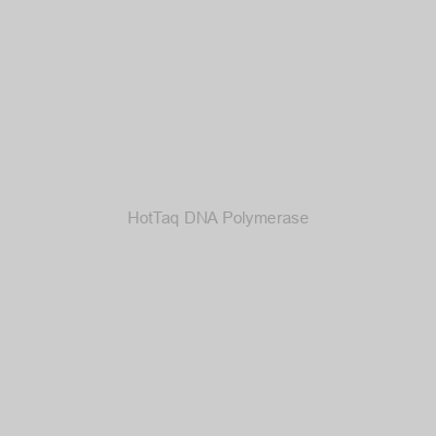 HotTaq DNA Polymerase